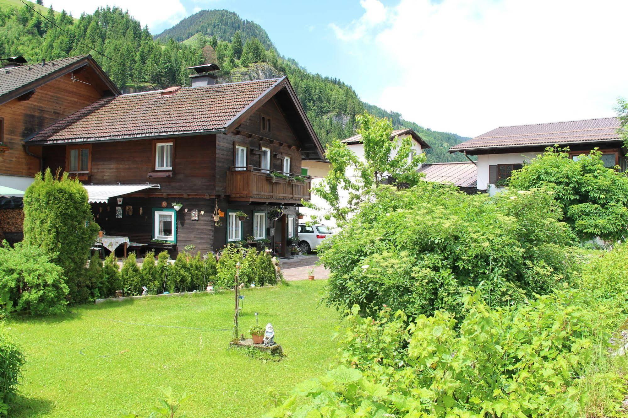 Peterlhaus Villa Kleinarl Ngoại thất bức ảnh
